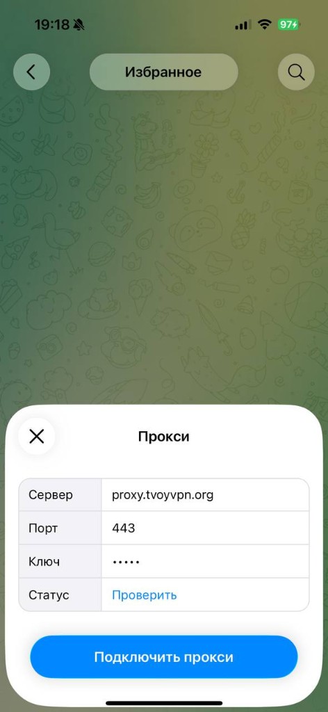 Пример: окно «Прокси» и кнопка «Подключить прокси»
